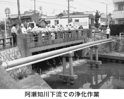 阿瀬川下流での浄化作業