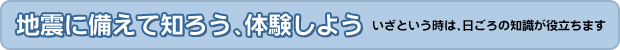 Ͽ̤Τθ褦