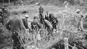 「智積自然の会」の活動状況