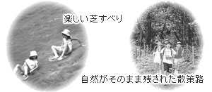 楽しい芝すべり/自然がそのまま残された散策路