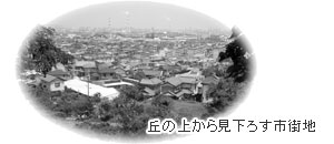 丘の上から見下ろす市街地
