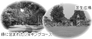 芝生広場/緑に包まれたジョギングコース