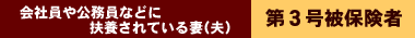 会社員や公務員などに扶養されている妻(夫) 第3号被保険者