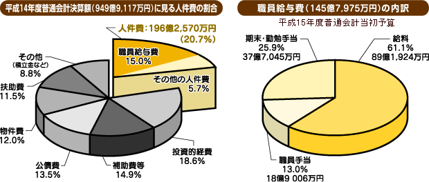 平成14年度普通会計決算額(949億9,117万円)に見る人件費の割合 / 職員給与費(145億7,975万円)の内訳