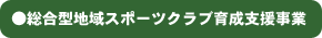 ●総合型地域スポーツクラブ育成支援事業