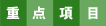 重点項目