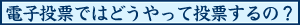 電子投票ではどうやって投票するの?