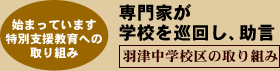 専門家が学校を巡回し、助言