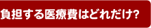 負担する医療費はどれだけ?