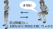 大腿の筋(スクワット)