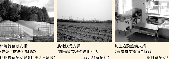新規就農者支援(新たに就農する際の初期投資補助農業ビギナー研修)/農地復元支援(耕作放棄地の農地への復元経費補助)/農地復元支援(耕作放棄地の農地への復元経費補助)