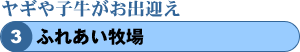 ヤギや子牛がお出迎え ふれあい牧場