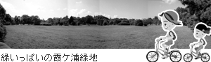 緑いっぱいの霞ケ浦緑地