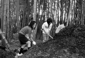 地域で取り組む里山保全活動(個性あるまちづくり)