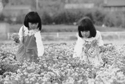 「広報よっかいち」の表紙をあなたの写真で飾りませんか