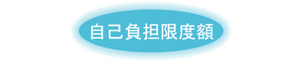 自己負担限度額