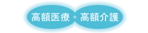 高額医療+高額介護
