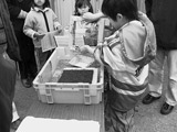 海の恵み体験