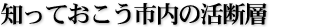 知っておこう市内の活断層