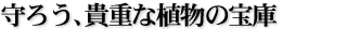 守ろう、貴重な植物の宝庫
