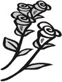 KN