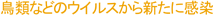 鳥類などのウイルスから新たに感染