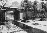 泗水庵・雪