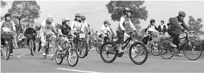 四日市サイクル・スポーツ・フェスティバル(昨年)