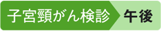 子宮頸がん検診 午後