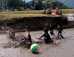 伝統文化・伝統農法を守る会(水沢地区)