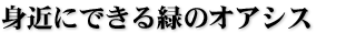 身近にできる緑のオアシス