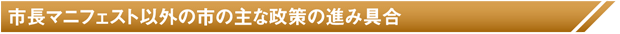 市長マニフェスト以外の市の主な政策の進み具合