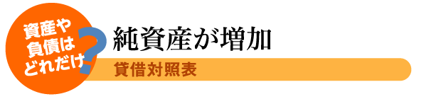 純資産が増加
