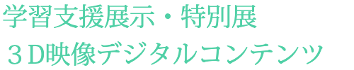 3D映像デジタルコンテンツ