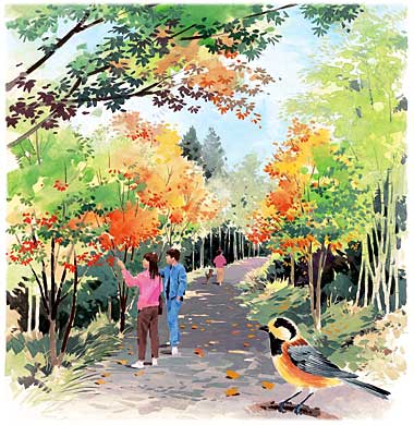 広報よっかいち 11月号上旬表紙