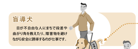 広報よっかいち 特集 ほじょ犬 を知っていますか