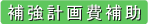 補強計画費補助