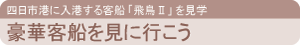 豪華客船を見に行こう
