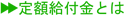 定額給付金とは