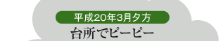 20N3[@䏊Ńs[s[