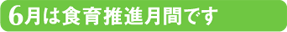 6͐H琄iԂł