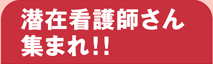 潜在看護師さん集まれ!!