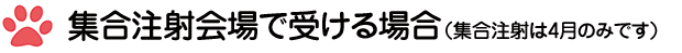 集合注射会場で受ける場合(集合注射は4月のみです)