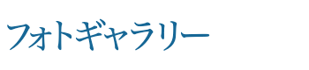 フォトギャラリー