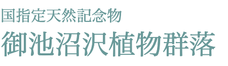 国指定天然記念物 御池沼沢植物群落