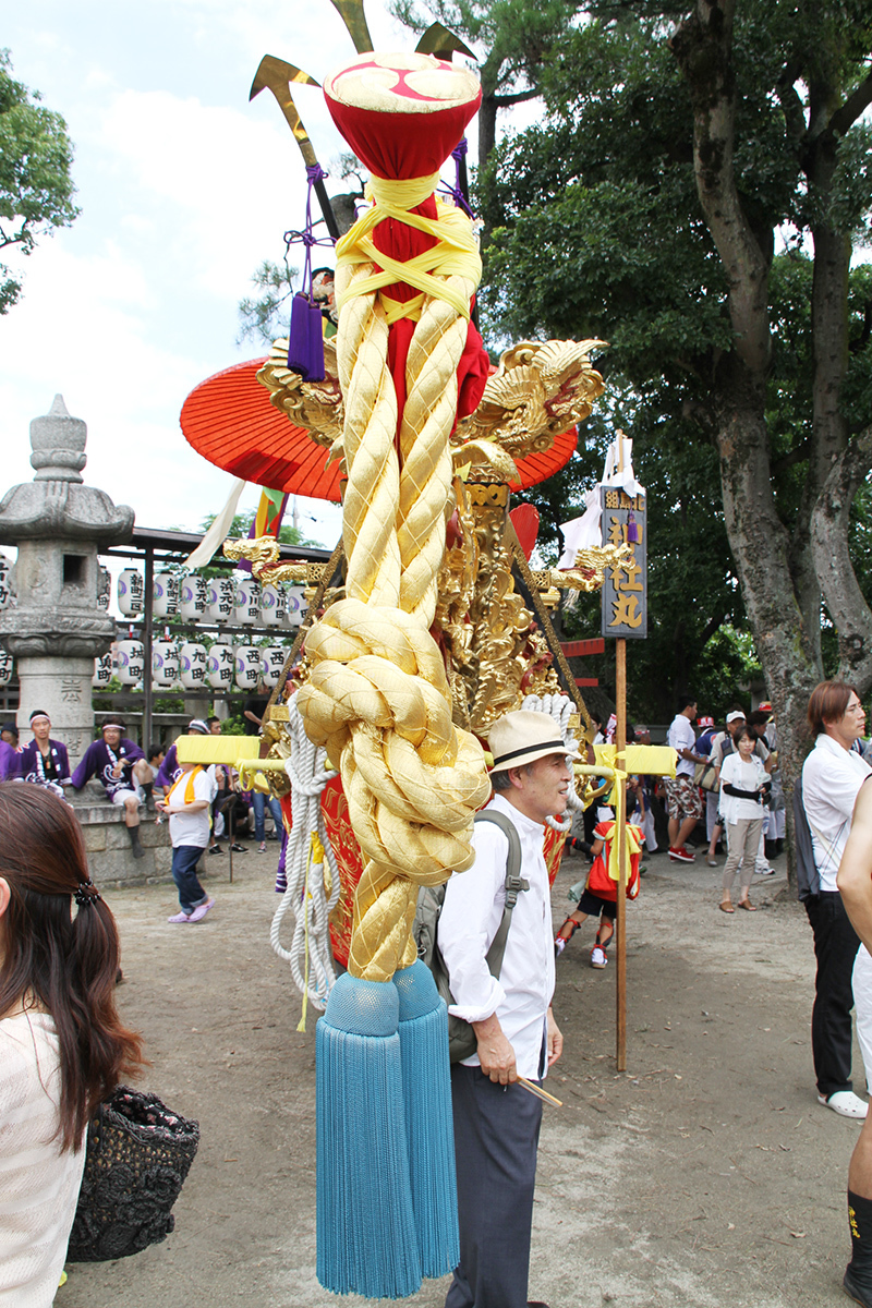 神社丸 さがり