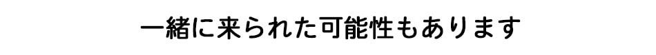 一緒に来られた可能性もあります