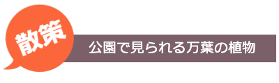 散策