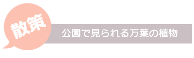 散策
