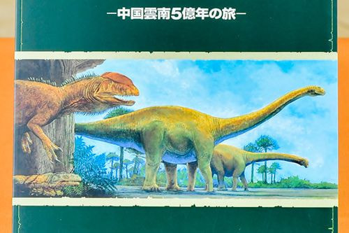 商品写真